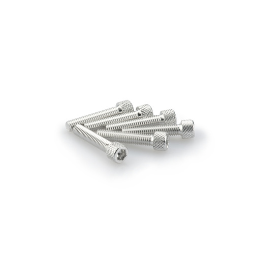 Puig KIT SCREWS ALLEN M6X30MM. C/SILVER