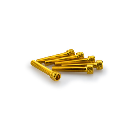 Puig KIT SCREWS ALLEN M6X35MM. C/GOLD