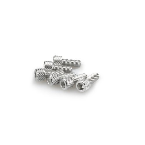 Puig KIT SCREWS ALLEN M6X15MM. C/SILVER