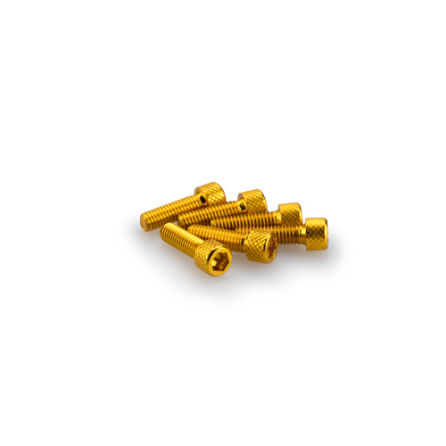 Puig KIT SCREWS ALLEN M6X20MM. C/GOLD