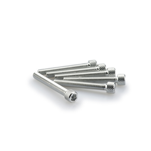 Puig KIT SCREWS ALLEN M6X45MM. C/SILVER