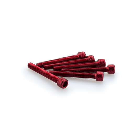 Puig KIT SCREWS ALLEN M6X45MM. C/RED