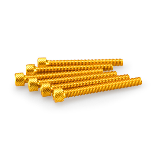 Puig KIT SCREWS ALLEN M6X55MM. C/GOLD