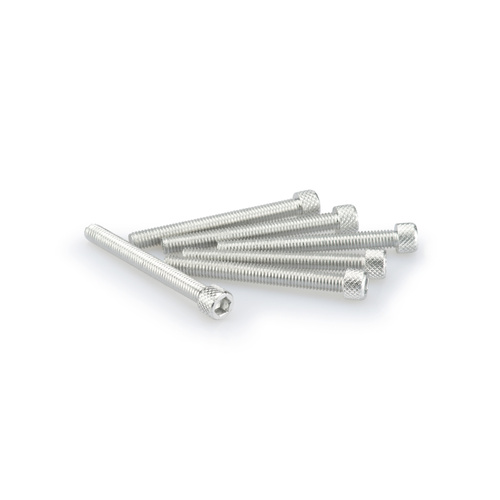 Puig KIT SCREWS ALLEN M6X55MM. C/SILVER