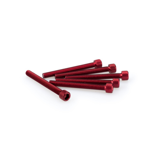 Puig KIT SCREWS ALLEN M6X55MM. C/RED