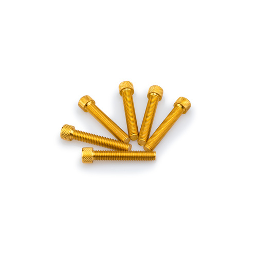 Puig KIT SCREWS ALLEN M8X45MM. C/GOLD