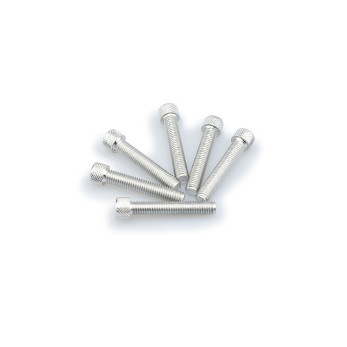 Puig KIT SCREWS ALLEN M8X45MM. C/SILVER