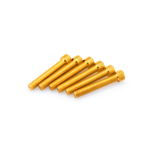 Puig KIT SCREWS ALLEN M8X50MM. C/GOLD