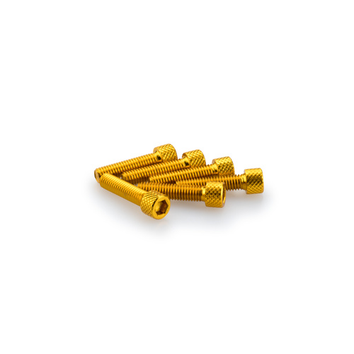 Puig KIT SCREWS ALLEN M6X25MM. C/GOLD