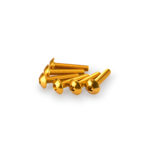 Puig KIT SCREWS DOMED M5X25MM. C/GOLD