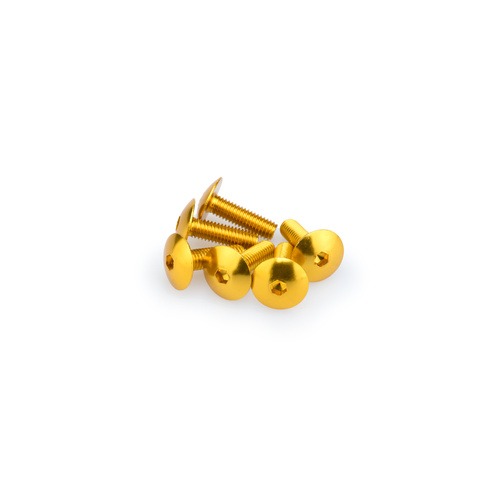 Puig KIT SCREWS DOMED M6X20MM. C/GOLD