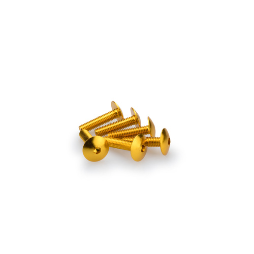 Puig KIT SCREWS DOMED M6X25MM. C/GOLD