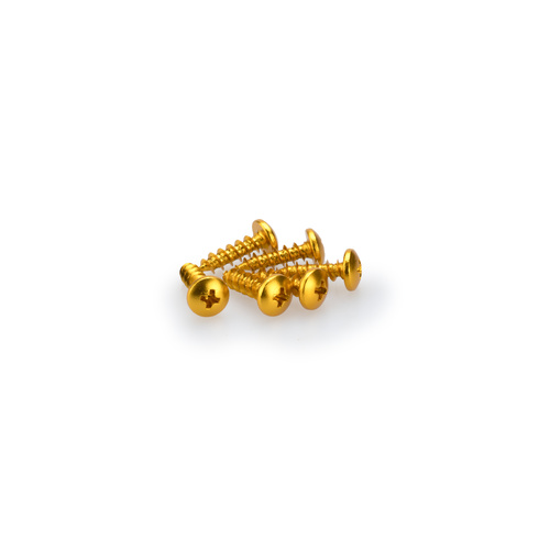 Puig KIT SCREWS DOMED M6X20MM. C/GOLD