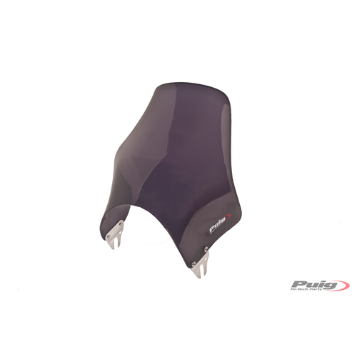 Puig WINDSHIELD NAKED.BAND.GSF650 05-08/1200-06/1250 07