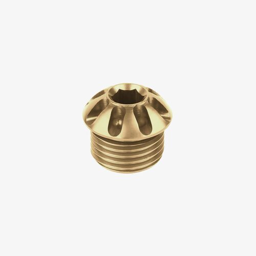 Bonamici Racing Coloured cap for foot peg - BRONZE