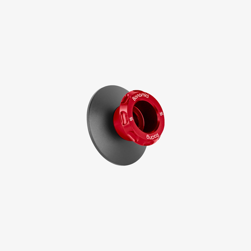 Bonamici Racing Aluminum swing arms spools 10x1,25 EVO racing - RED