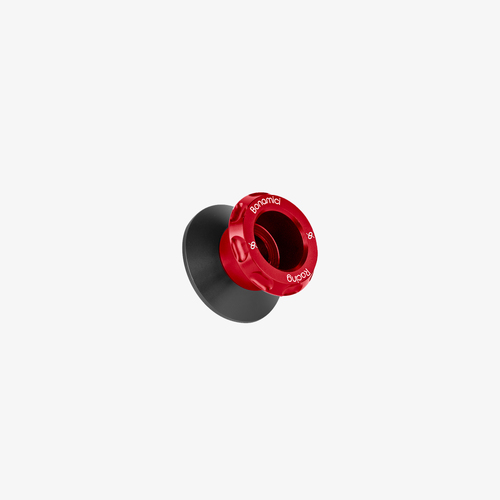 Bonamici Racing Aluminum swing arms spools 10x1,25 EVO standard - RED